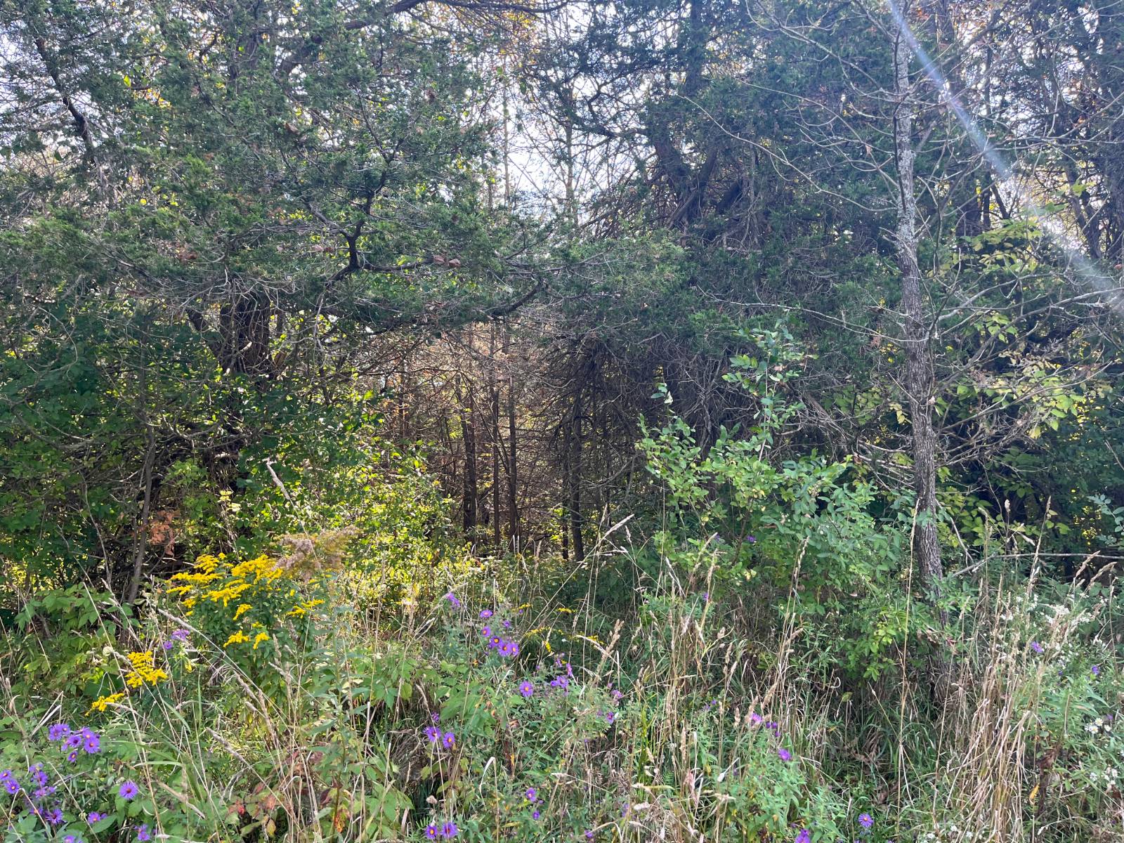 #12 photo, 36432 County Route 22, Antwerp , NY 13608