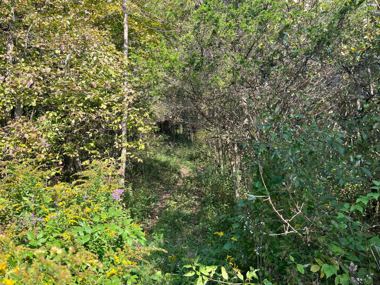 #14 photo, 36432 County Route 22, Antwerp , NY 13608