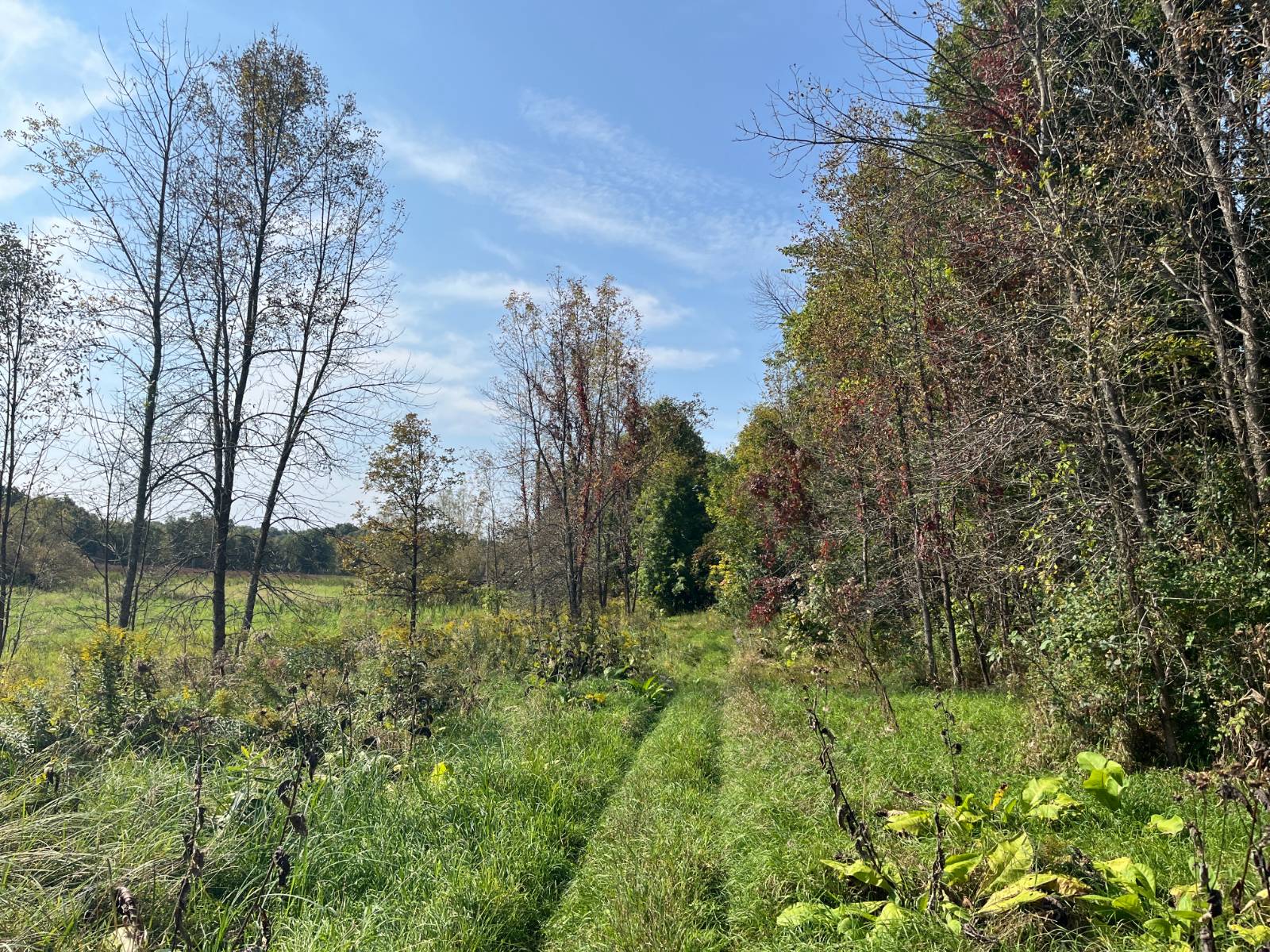 #15 photo, 36432 County Route 22, Antwerp , NY 13608