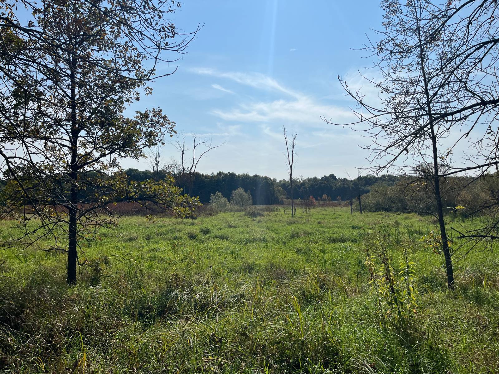 #18 photo, 36432 County Route 22, Antwerp , NY 13608