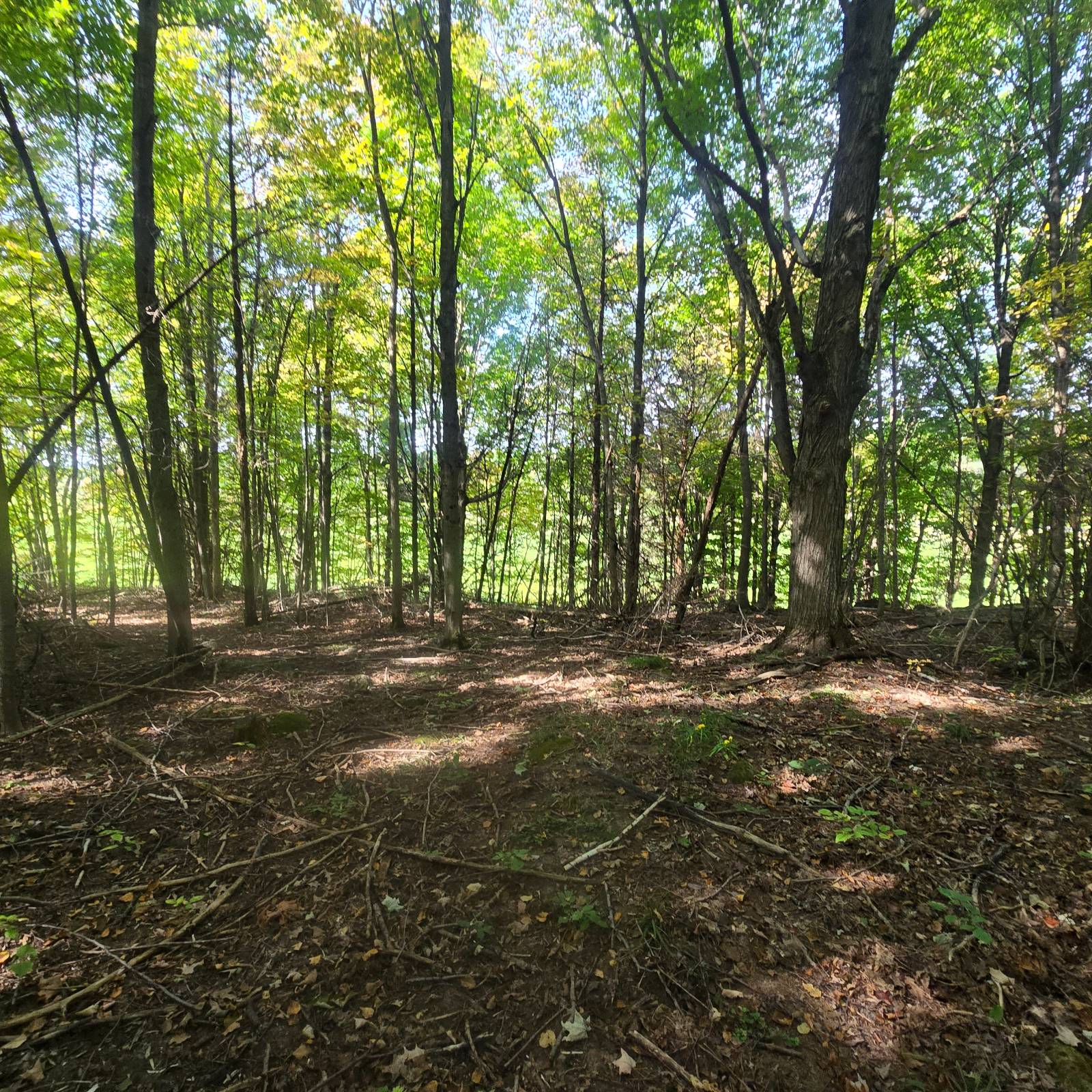 #6 photo, 36432 County Route 22, Antwerp , NY 13608