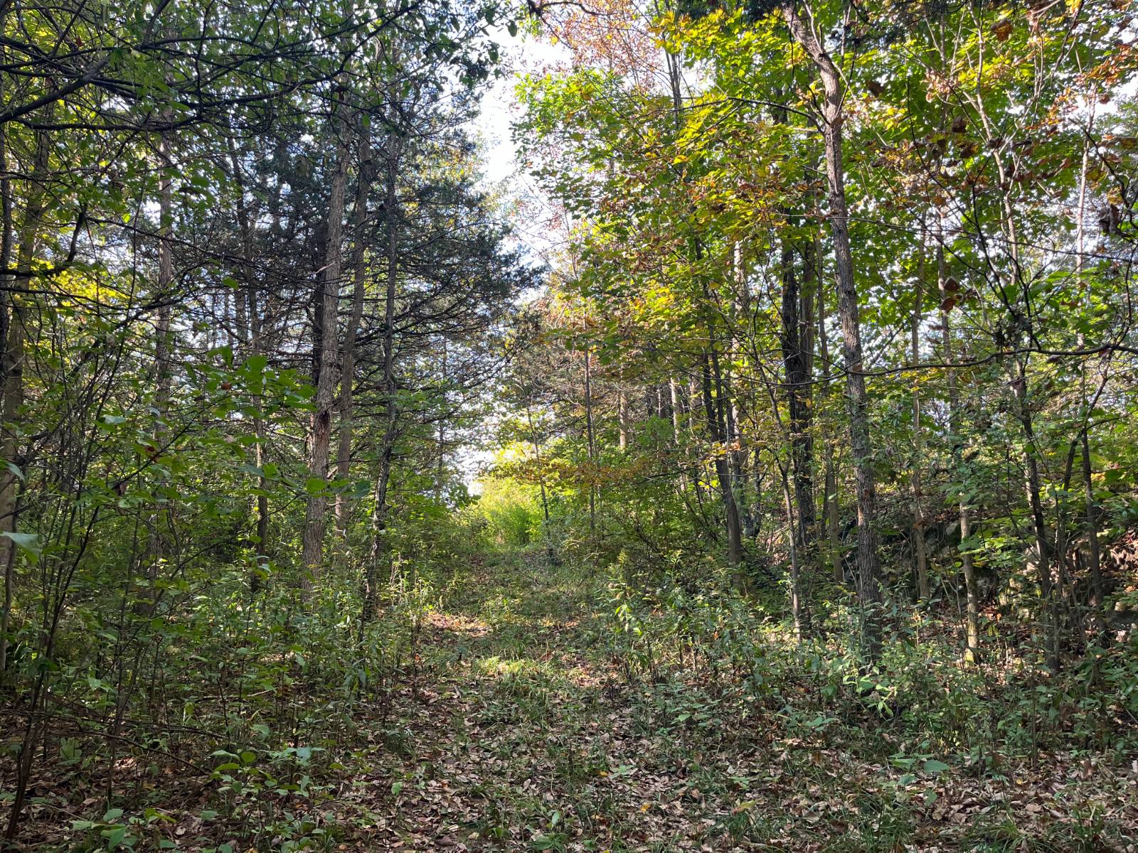 #7 photo, 36432 County Route 22, Antwerp , NY 13608