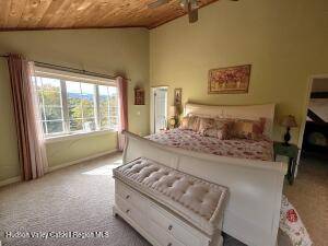 #11 photo, 19 Pond View Rd., Ashland , NY 12468