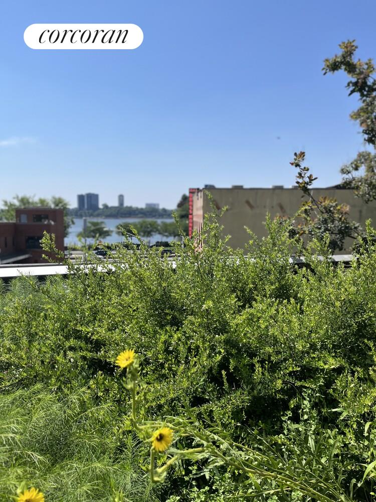 #19 photo, 822 GREENWICH Street, West Village , NY 10014