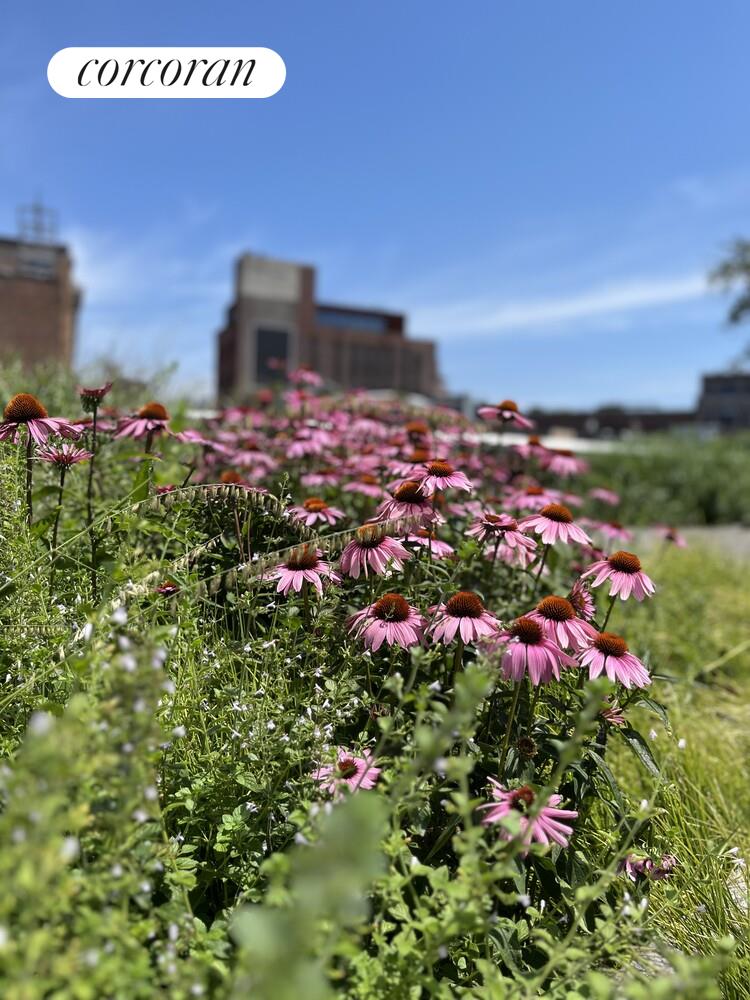 #21 photo, 822 GREENWICH Street, West Village , NY 10014