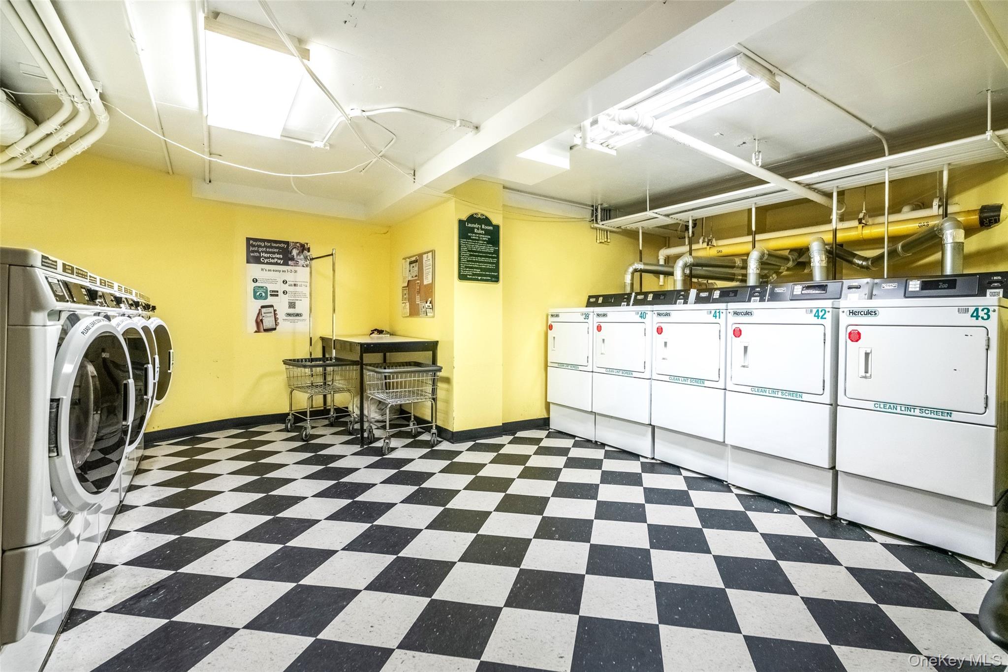 #18 photo, 180 Pearsall Drive, Mount Vernon , NY 10552