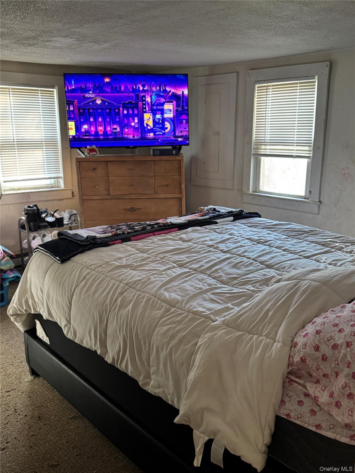 #6 photo, 31 Old Route 22, Wassaic , NY 12592