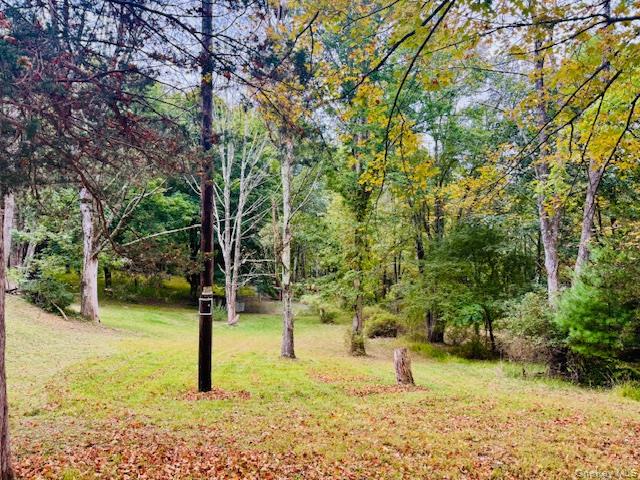 #4 photo, 64 Academy Avenue, Sparrowbush , NY 12780