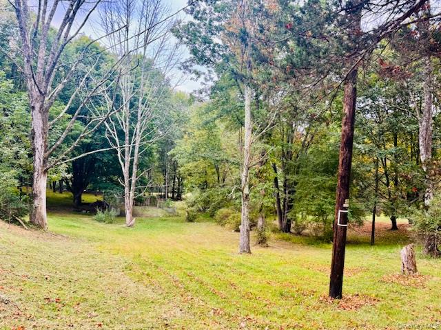 #6 photo, 64 Academy Avenue, Sparrowbush , NY 12780