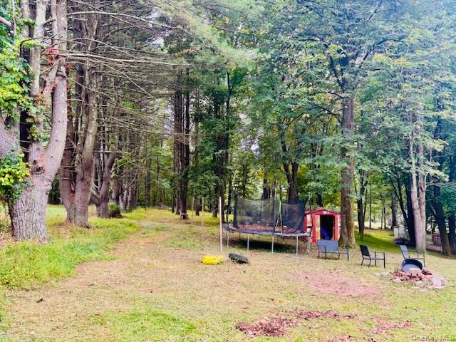 #8 photo, 64 Academy Avenue, Sparrowbush , NY 12780