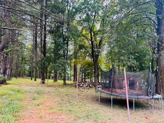 #9 photo, 64 Academy Avenue, Sparrowbush , NY 12780