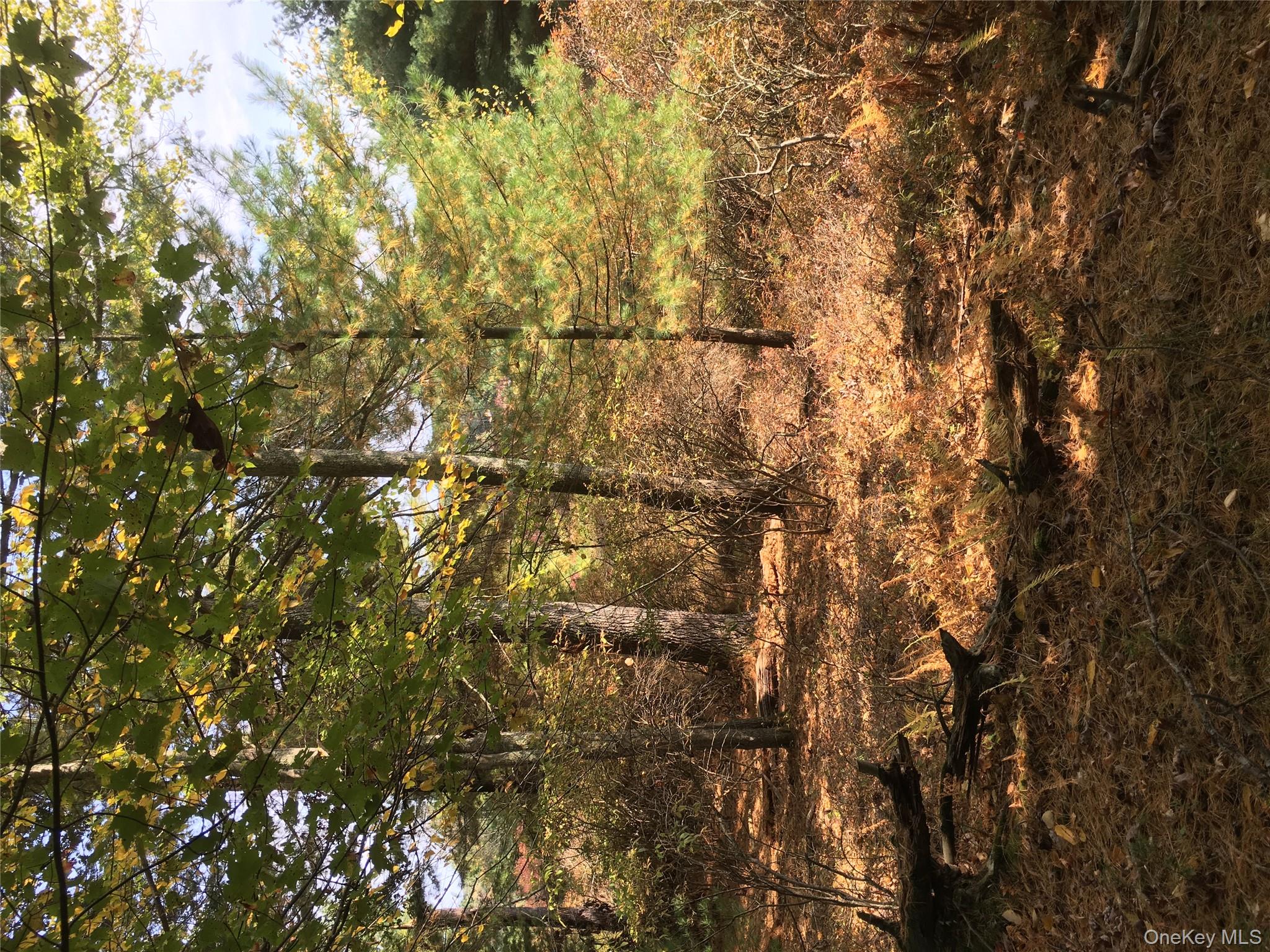 #1 photo, Lot 2A Renee Drive, Other , PA 18328