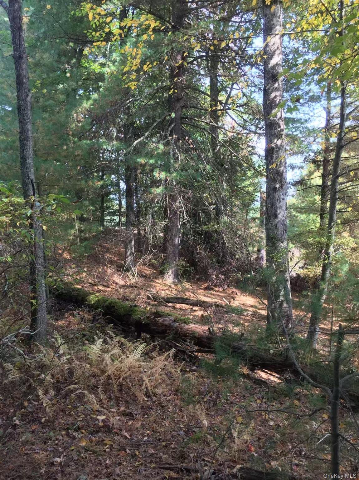 #2 photo, Lot 2A Renee Drive, Other , PA 18328