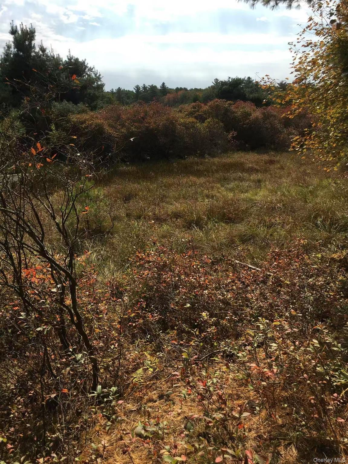 #3 photo, Lot 2A Renee Drive, Other , PA 18328