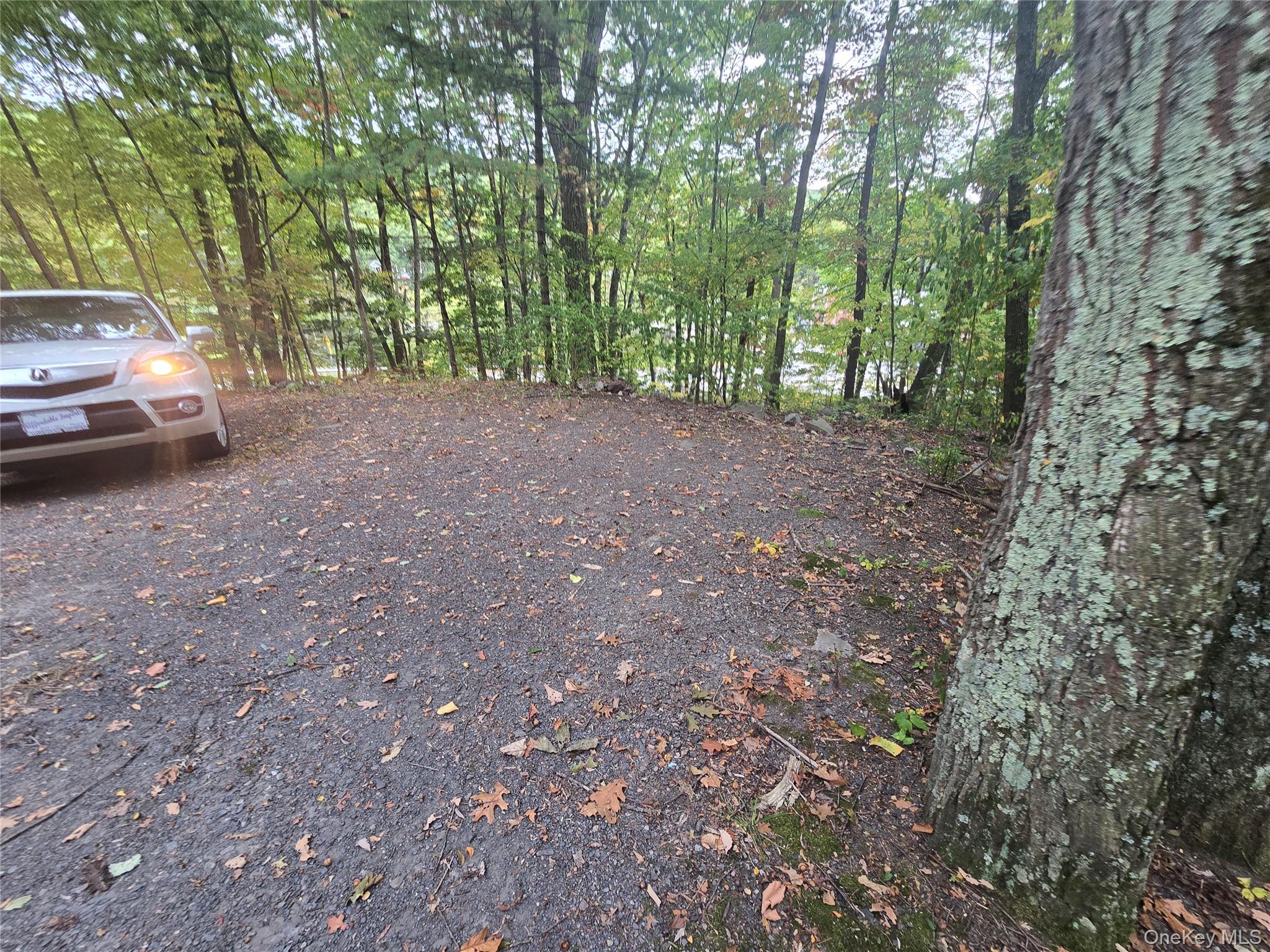 #8 photo, 109 Us Highway 6, Port Jervis , NY 12771