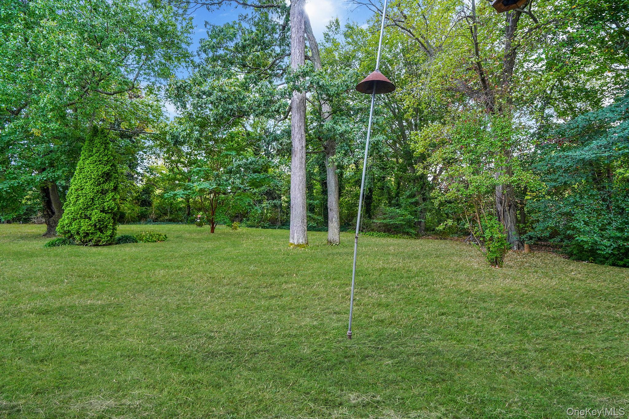 #7 photo, 7 Wilbur Lane, 长岛 Roosevelt , NY 11575