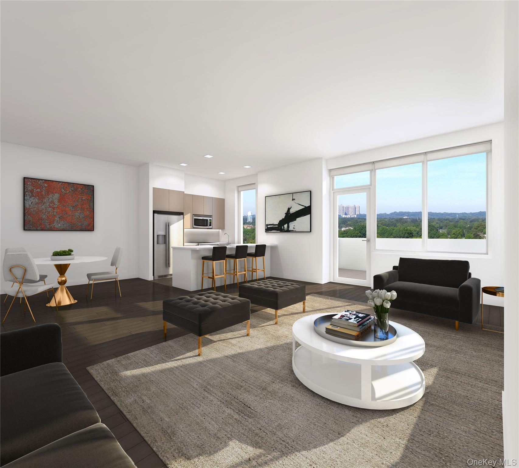 #4 photo, 1 Third, Mineola , NY 11501