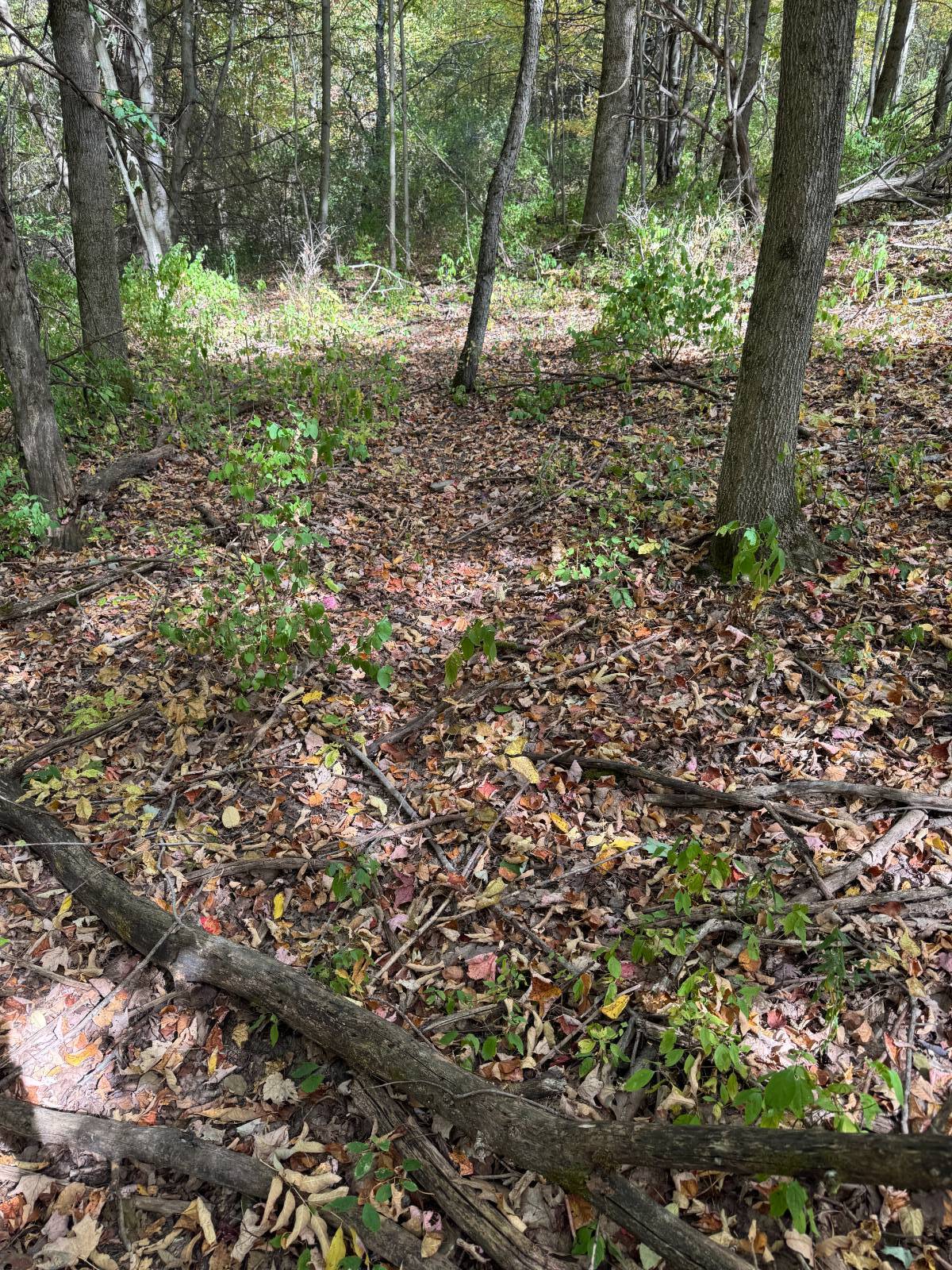 #10 photo, 135  Cook Road, Cooperstown , NY 13326