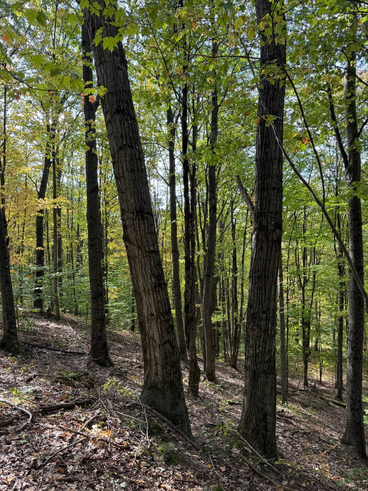 #12 photo, 135  Cook Road, Cooperstown , NY 13326