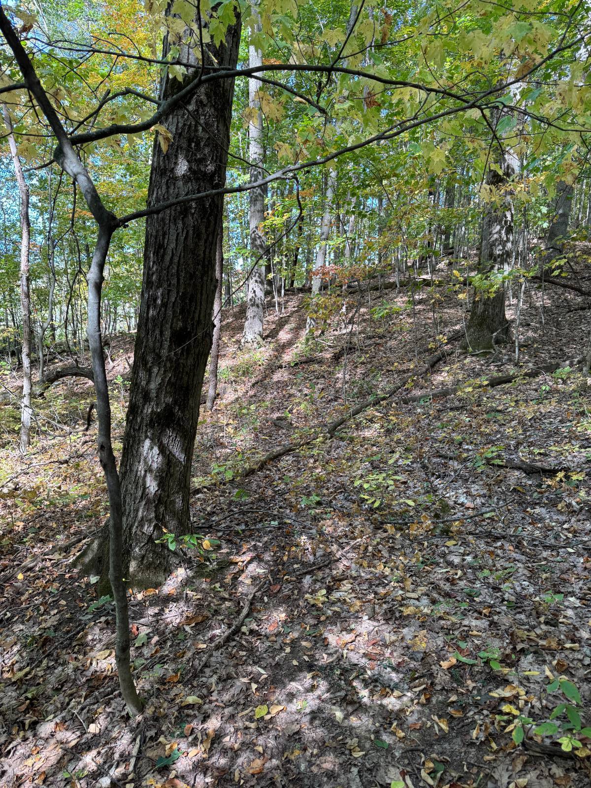 #13 photo, 135  Cook Road, Cooperstown , NY 13326