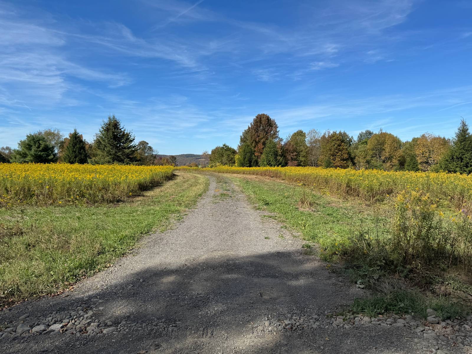 #2 photo, 135  Cook Road, Cooperstown , NY 13326