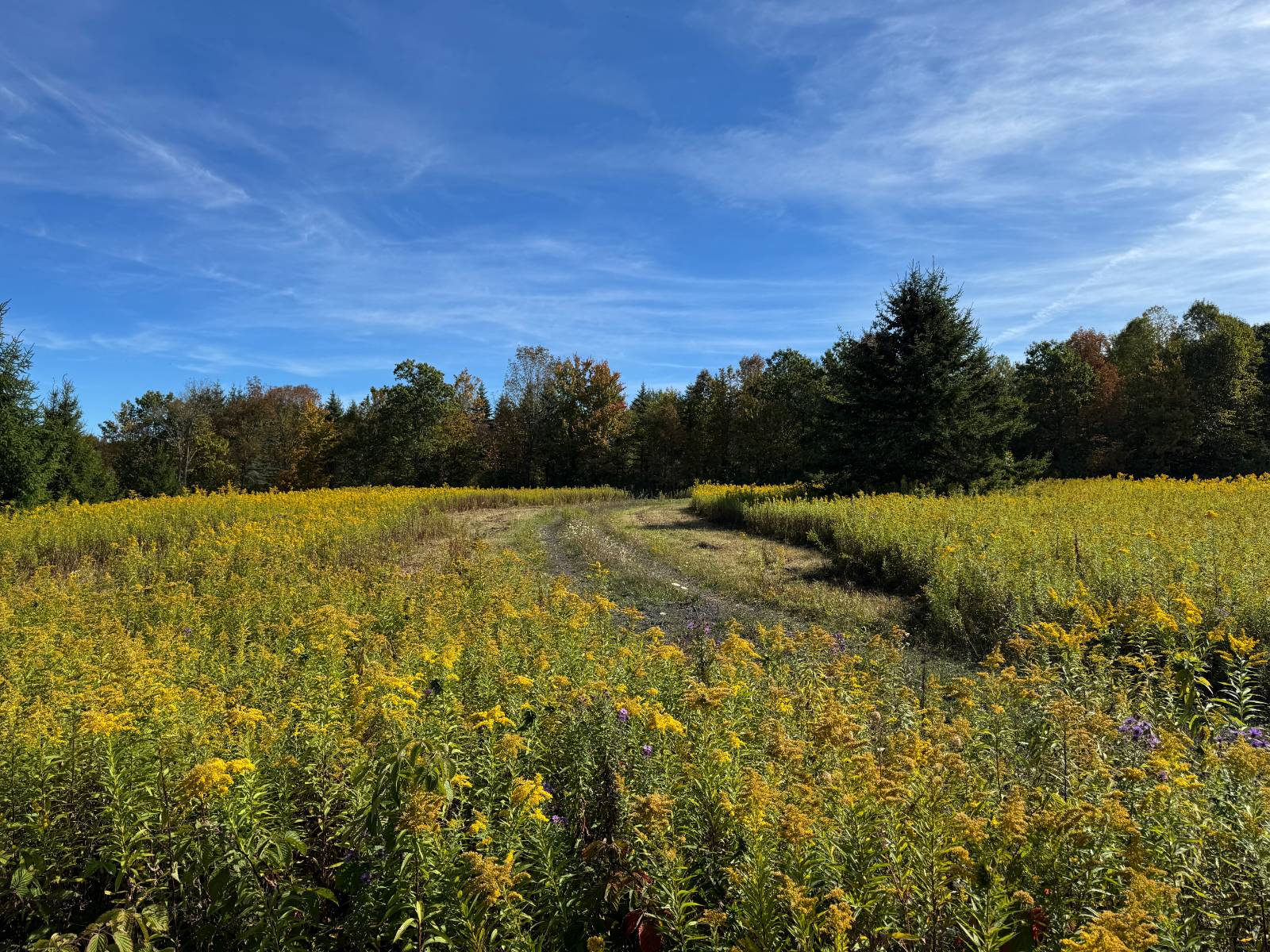 #5 photo, 135  Cook Road, Cooperstown , NY 13326