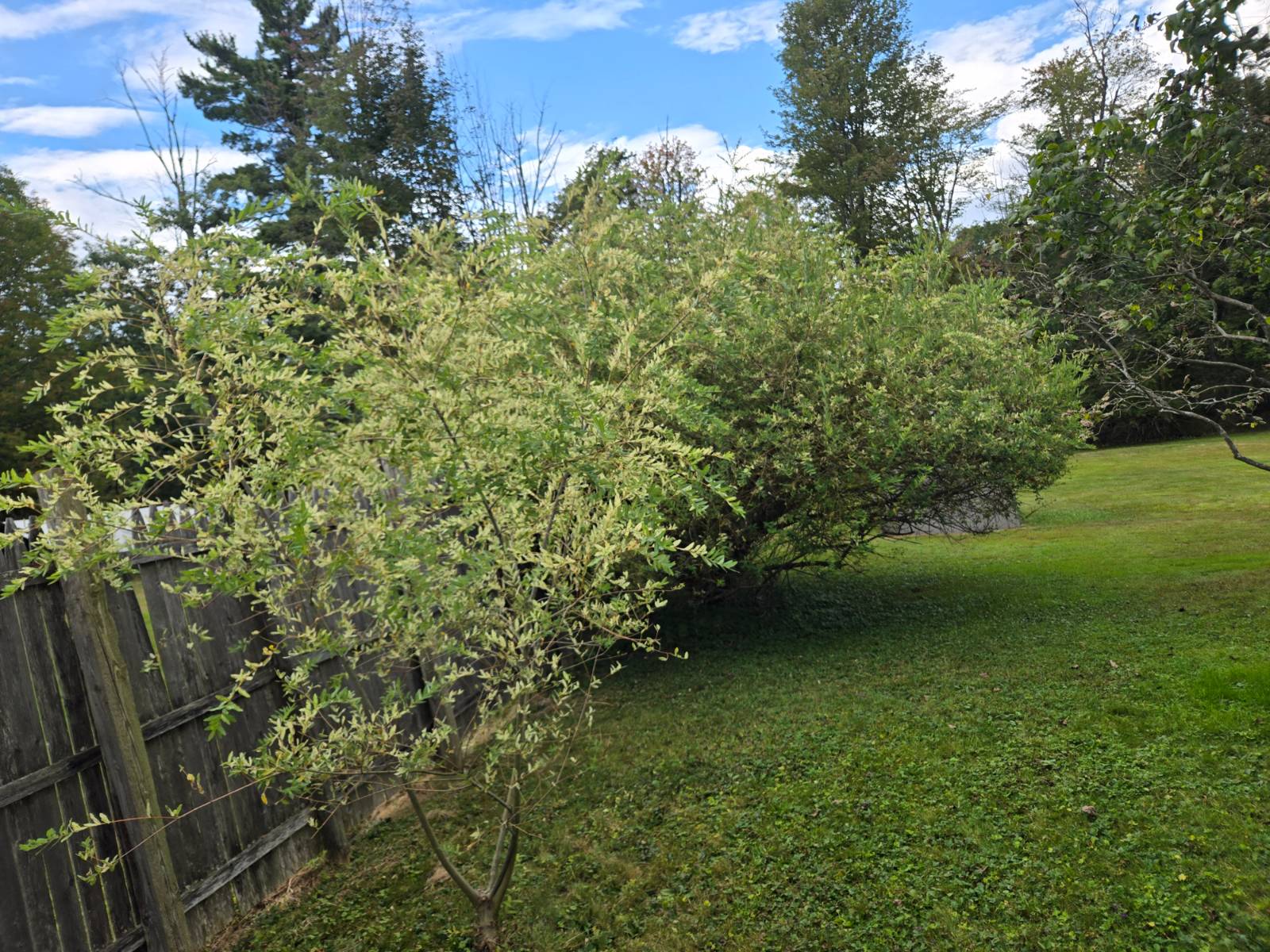 #4 photo, 45 Rock Ridge Avenue, Monticello , NY 12701