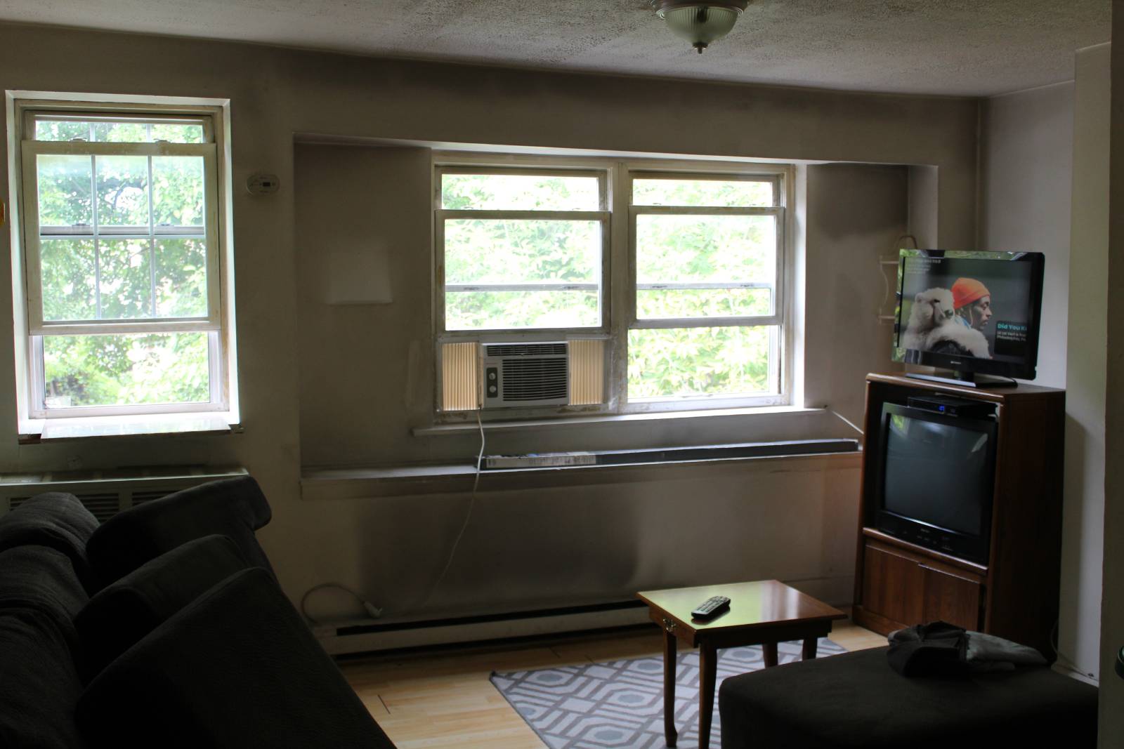 #19 photo, 17 N Lake Ave, Albany , NY 12203
