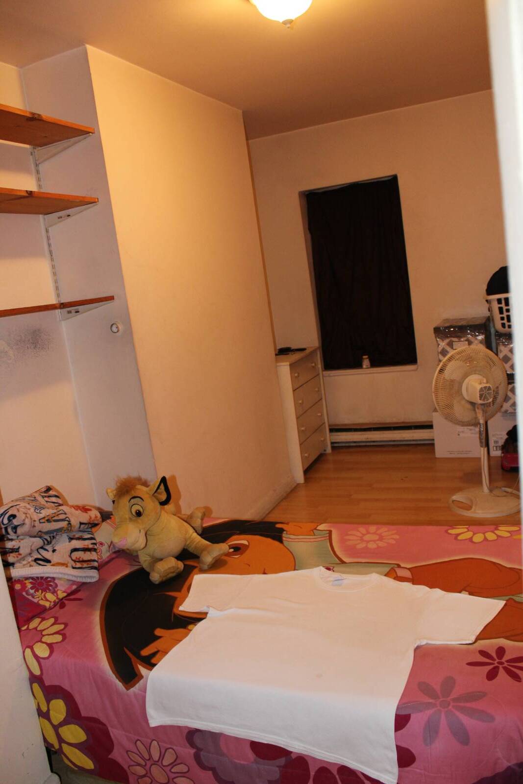 #23 photo, 17 N Lake Ave, Albany , NY 12203