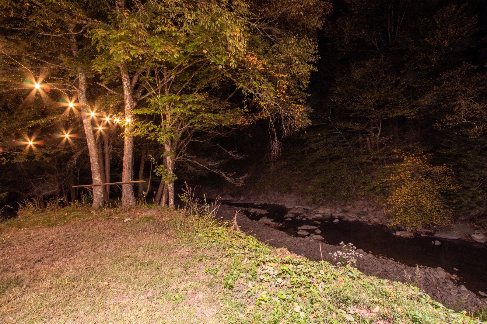 #10 photo, 423 Burnwood Rd, East Branch , NY 13756