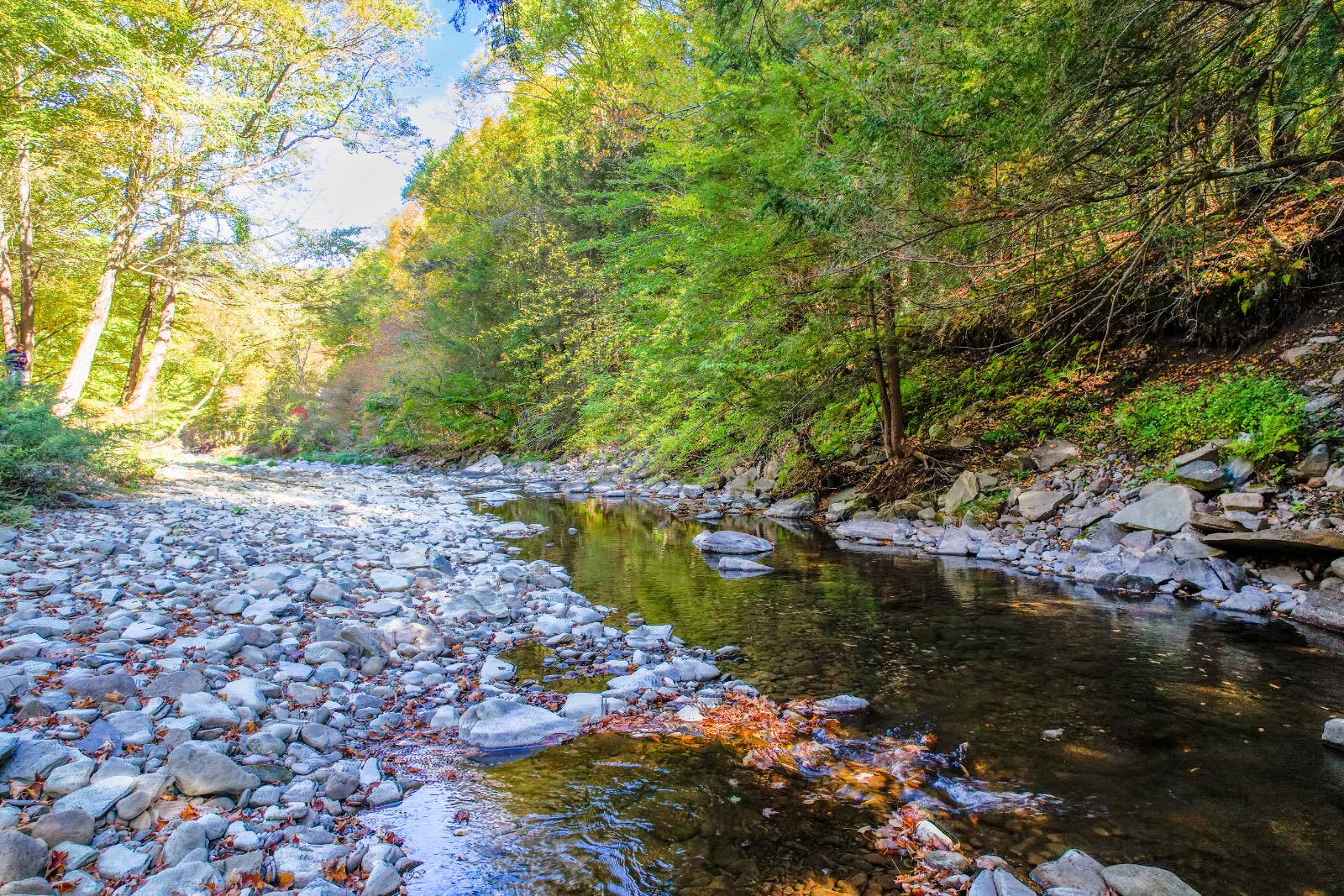 #11 photo, 423 Burnwood Rd, East Branch , NY 13756