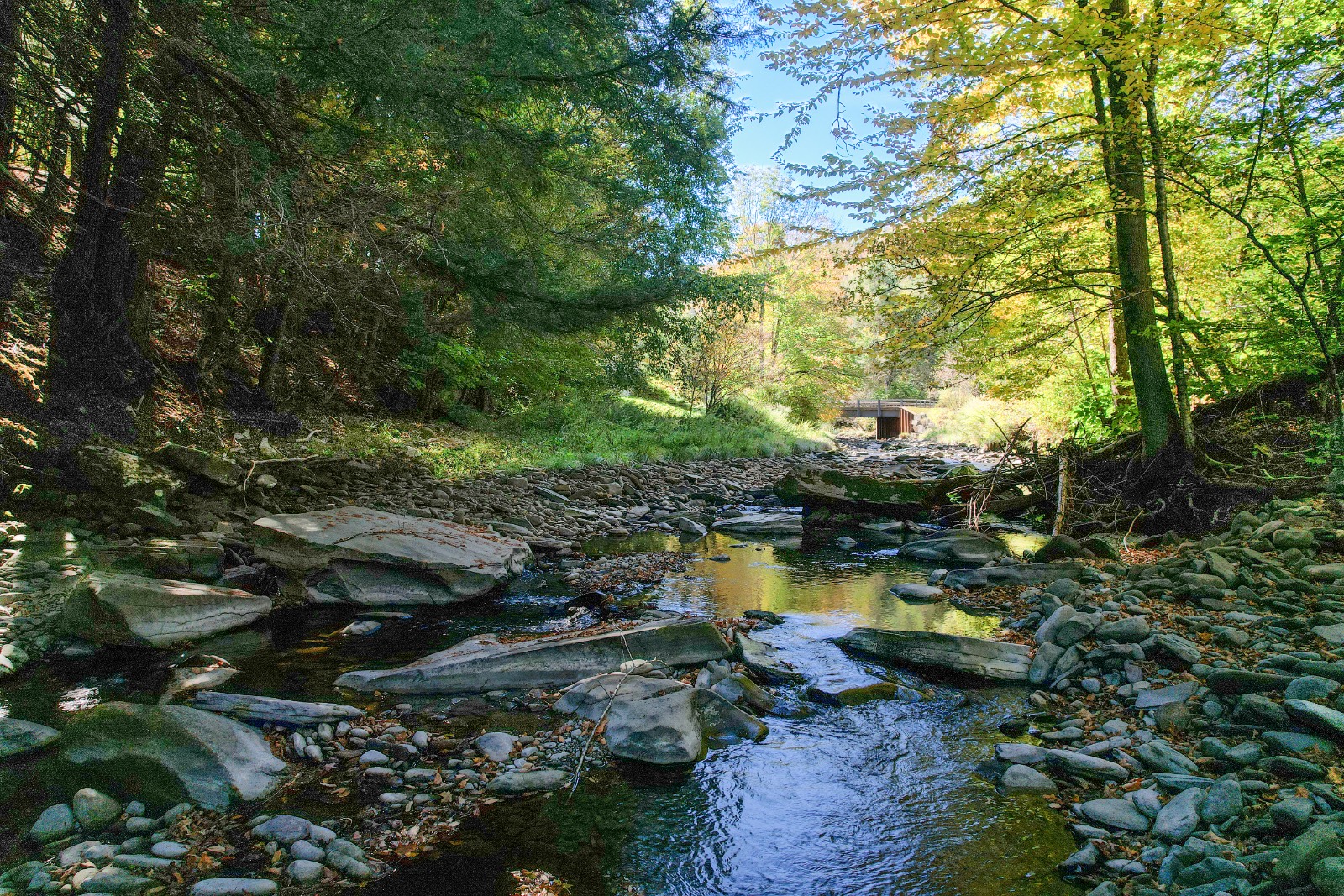 #12 photo, 423 Burnwood Rd, East Branch , NY 13756