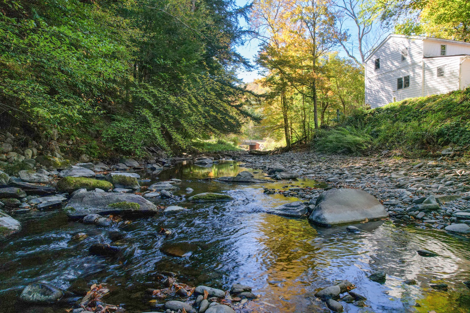 #13 photo, 423 Burnwood Rd, East Branch , NY 13756