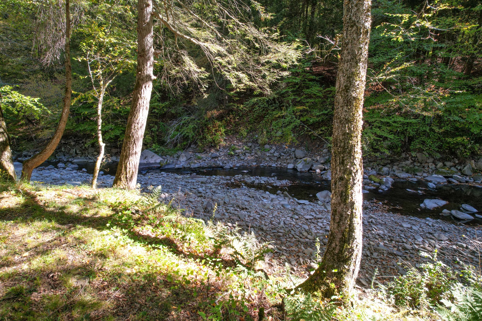 #34 photo, 423 Burnwood Rd, East Branch , NY 13756