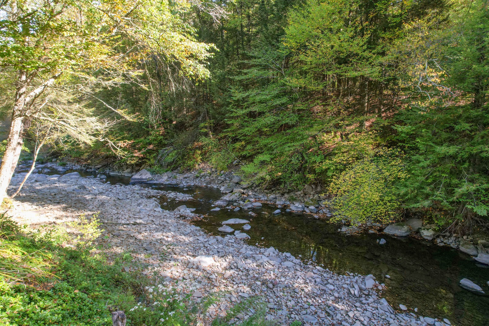 #37 photo, 423 Burnwood Rd, East Branch , NY 13756