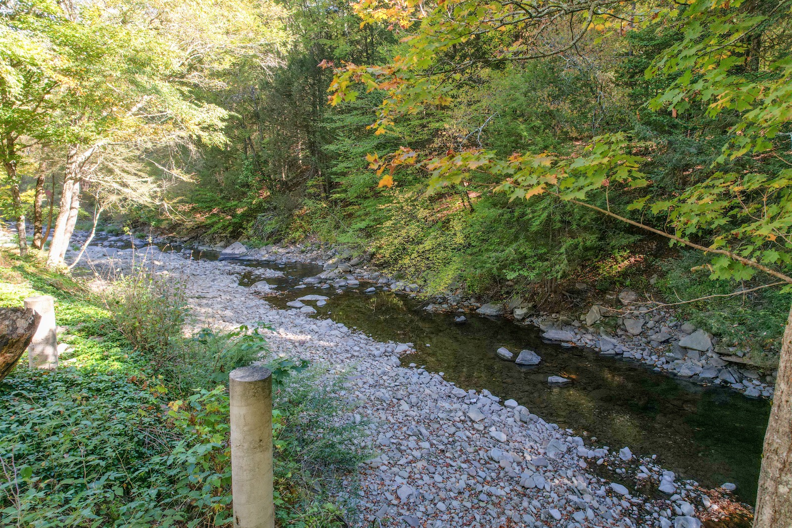 #38 photo, 423 Burnwood Rd, East Branch , NY 13756