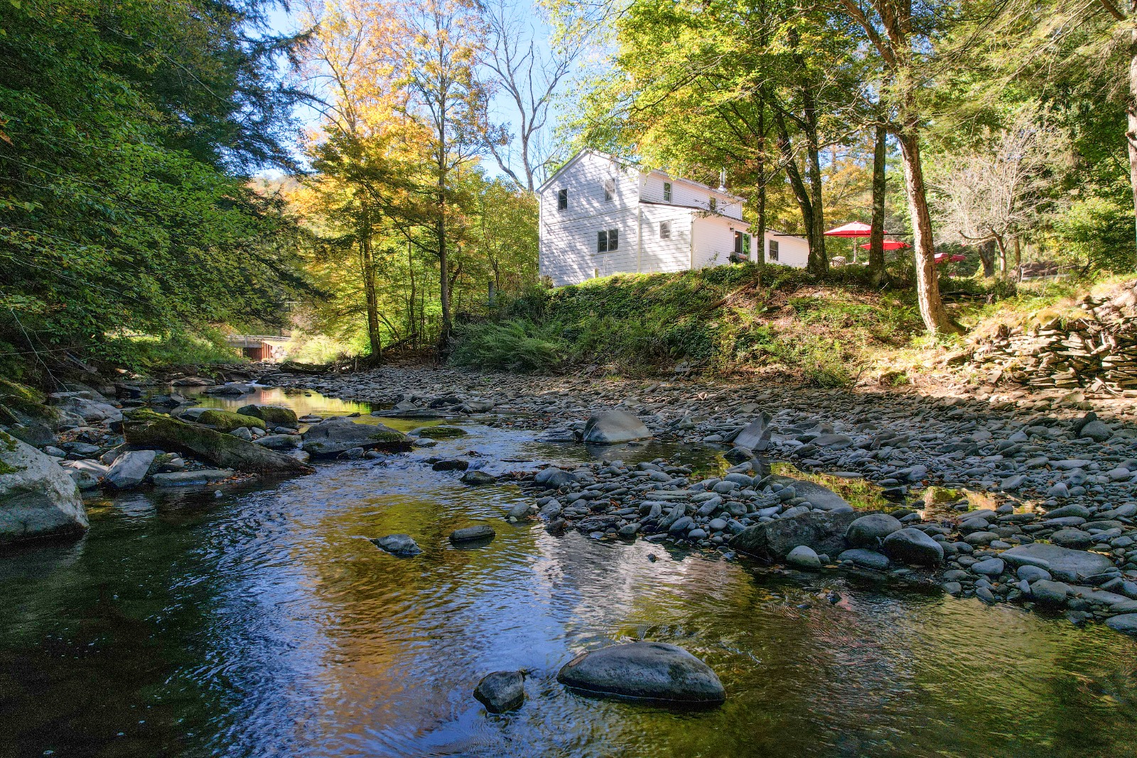 #39 photo, 423 Burnwood Rd, East Branch , NY 13756