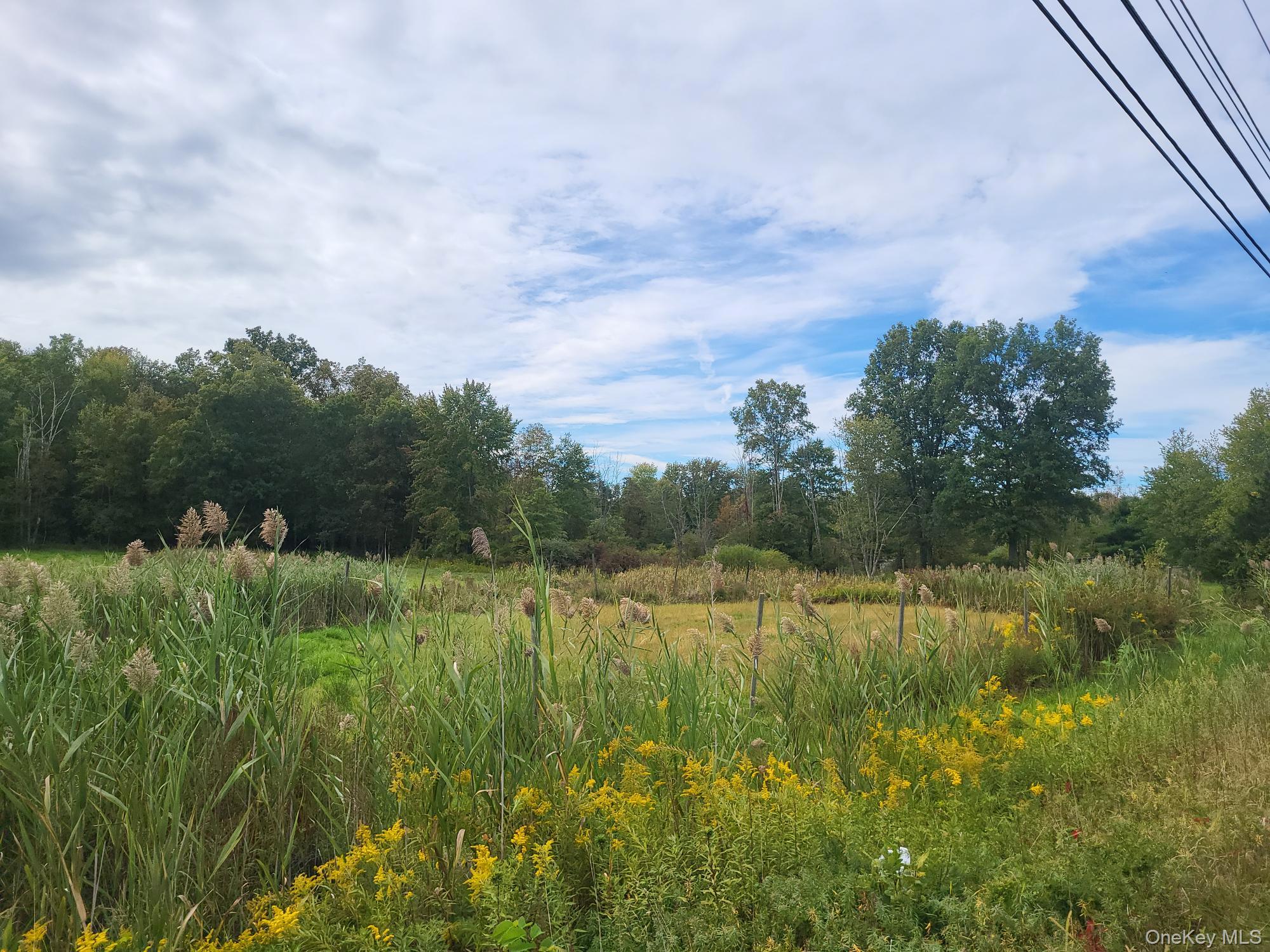 #2 photo, 328 Bloomingburg Road, Middletown , NY 10940