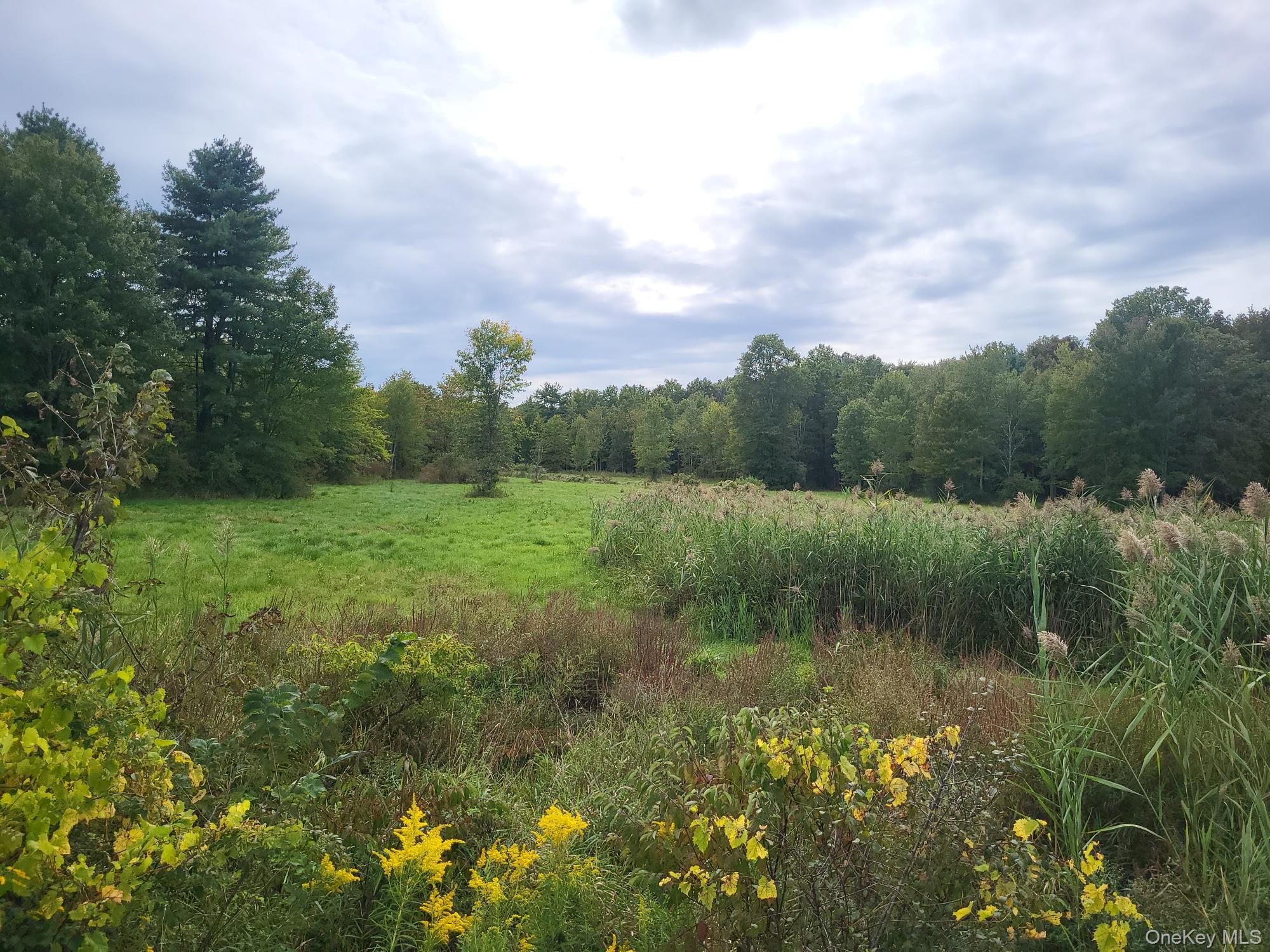 #3 photo, 328 Bloomingburg Road, Middletown , NY 10940