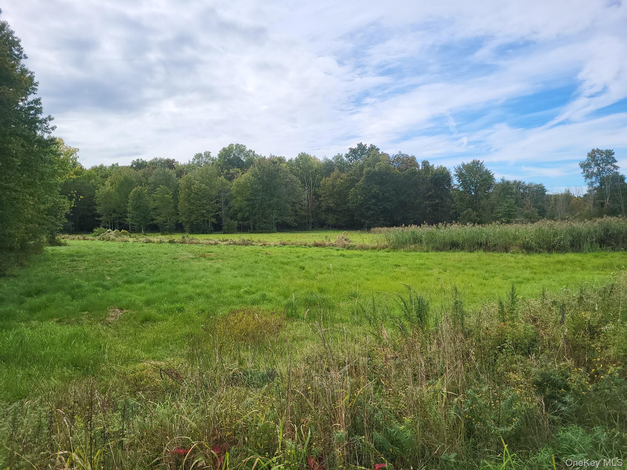 #4 photo, 328 Bloomingburg Road, Middletown , NY 10940