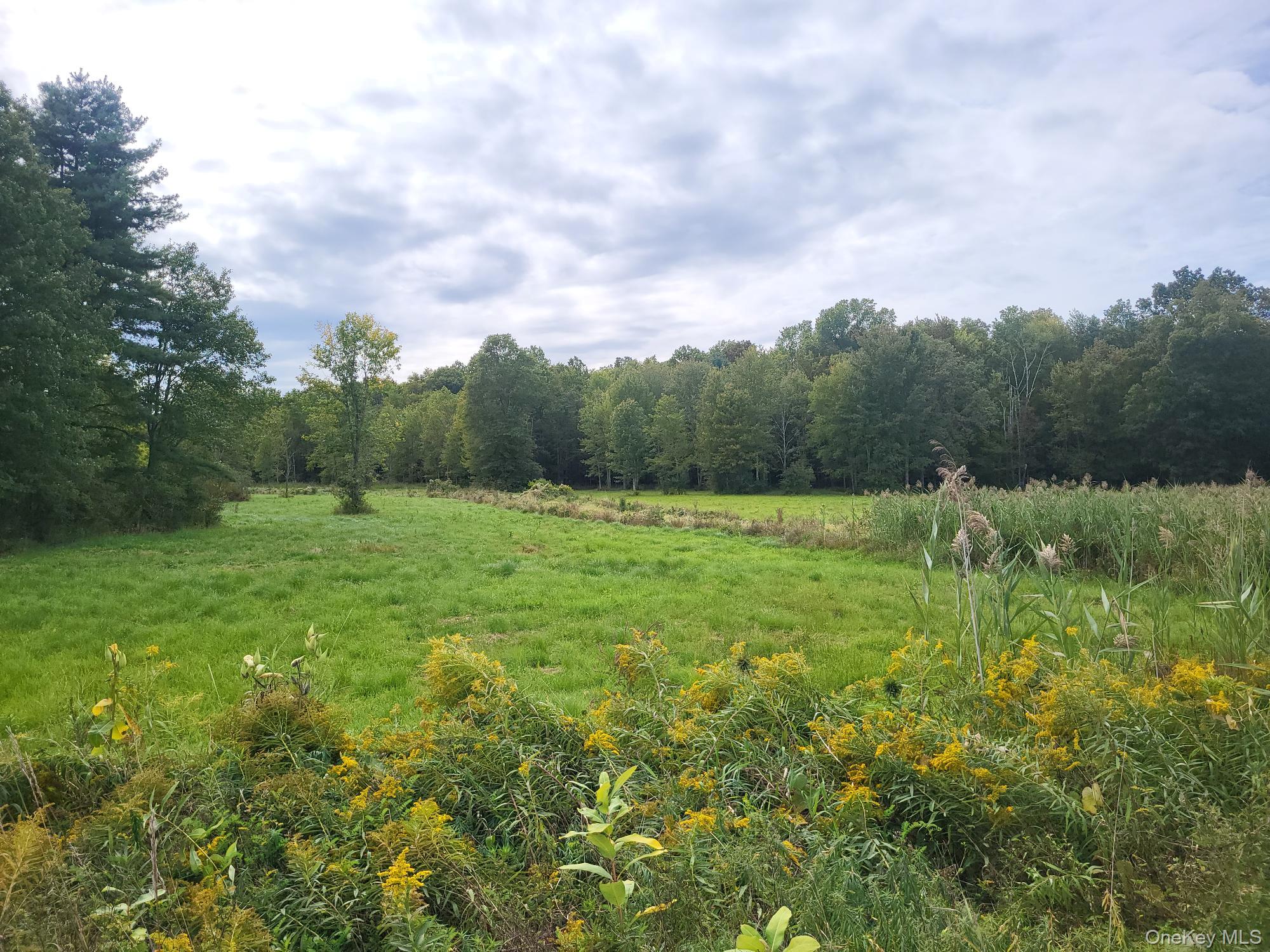 #5 photo, 328 Bloomingburg Road, Middletown , NY 10940