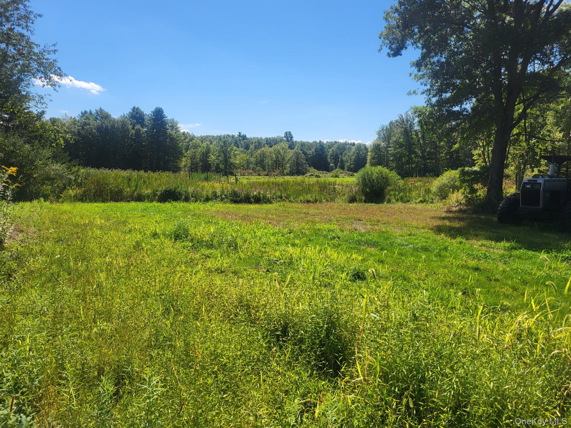 #6 photo, 328 Bloomingburg Road, Middletown , NY 10940