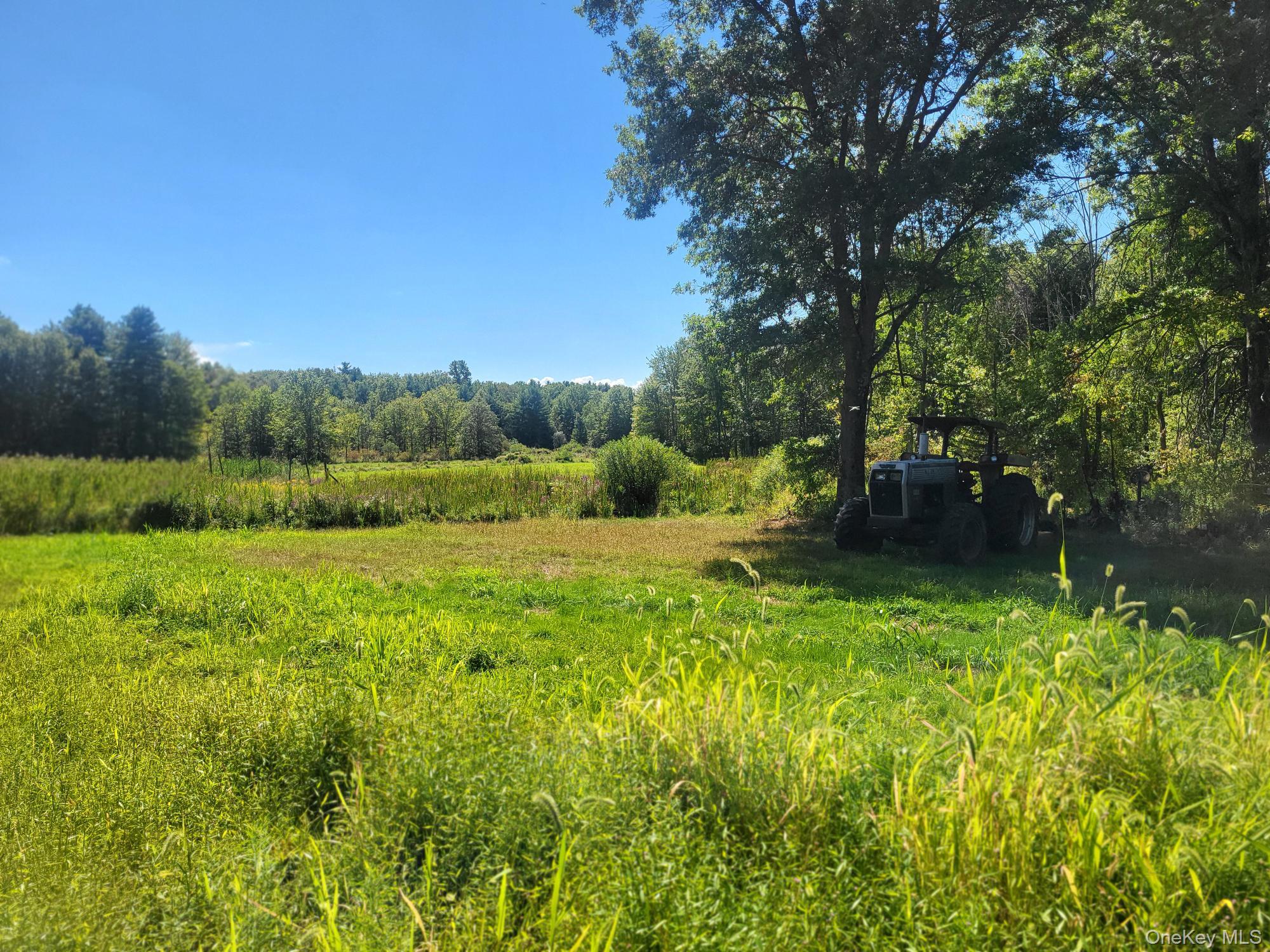 #7 photo, 328 Bloomingburg Road, Middletown , NY 10940