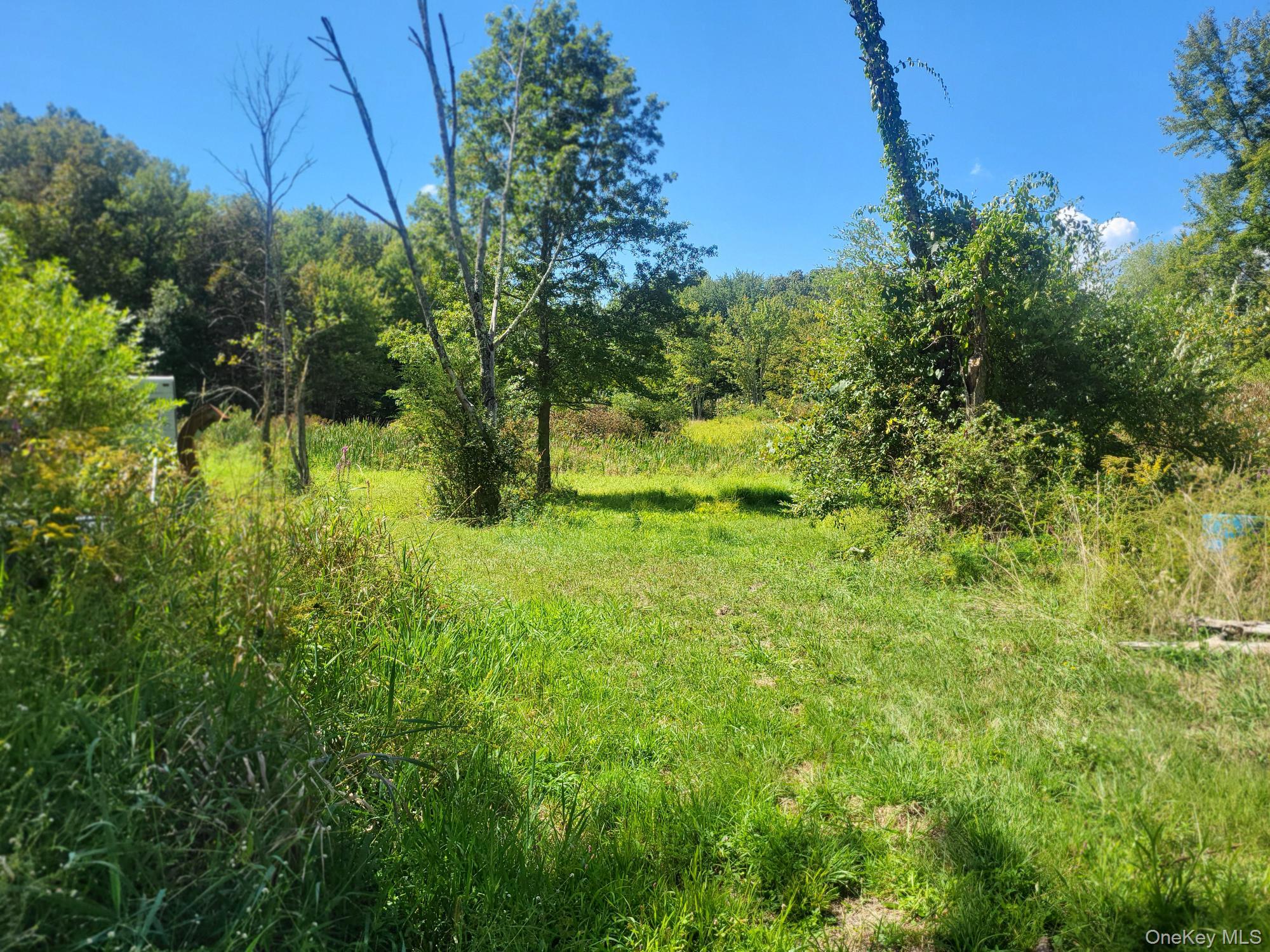 #8 photo, 328 Bloomingburg Road, Middletown , NY 10940