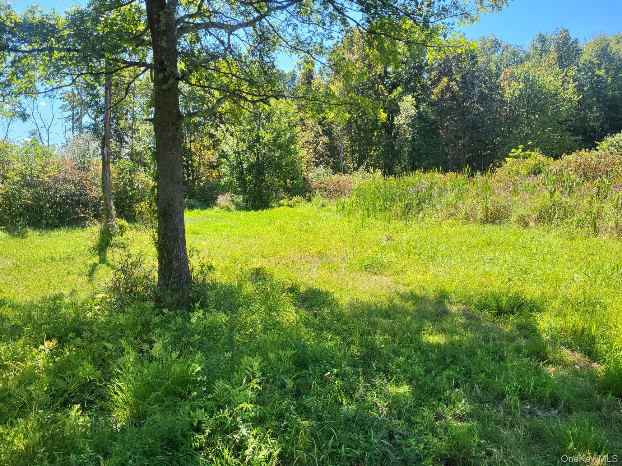 #9 photo, 328 Bloomingburg Road, Middletown , NY 10940