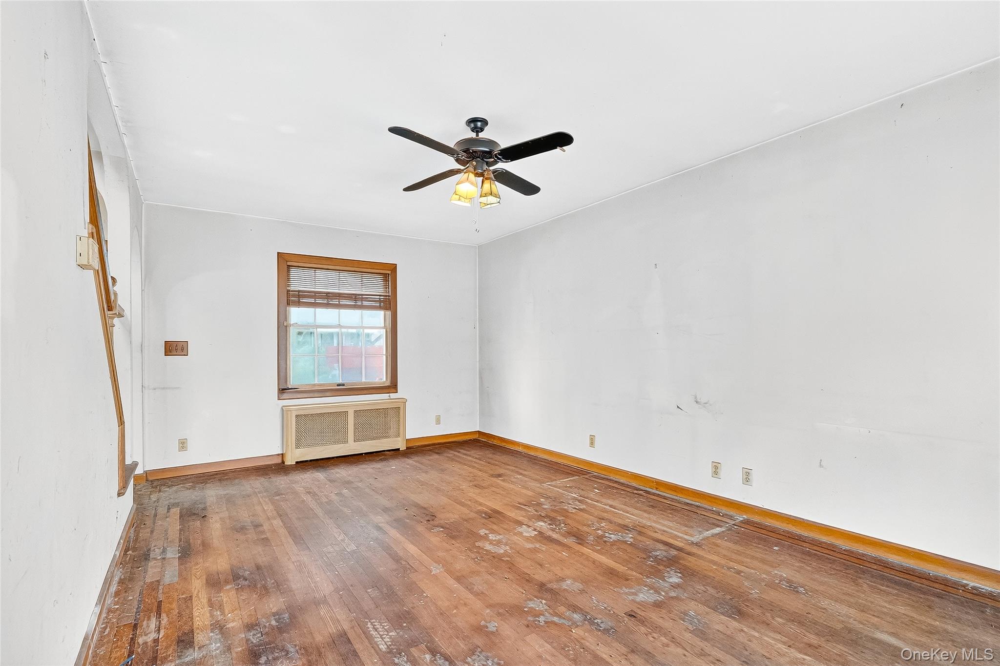 #17 photo, 2430 Morgan Avenue, Bronx , NY 10469