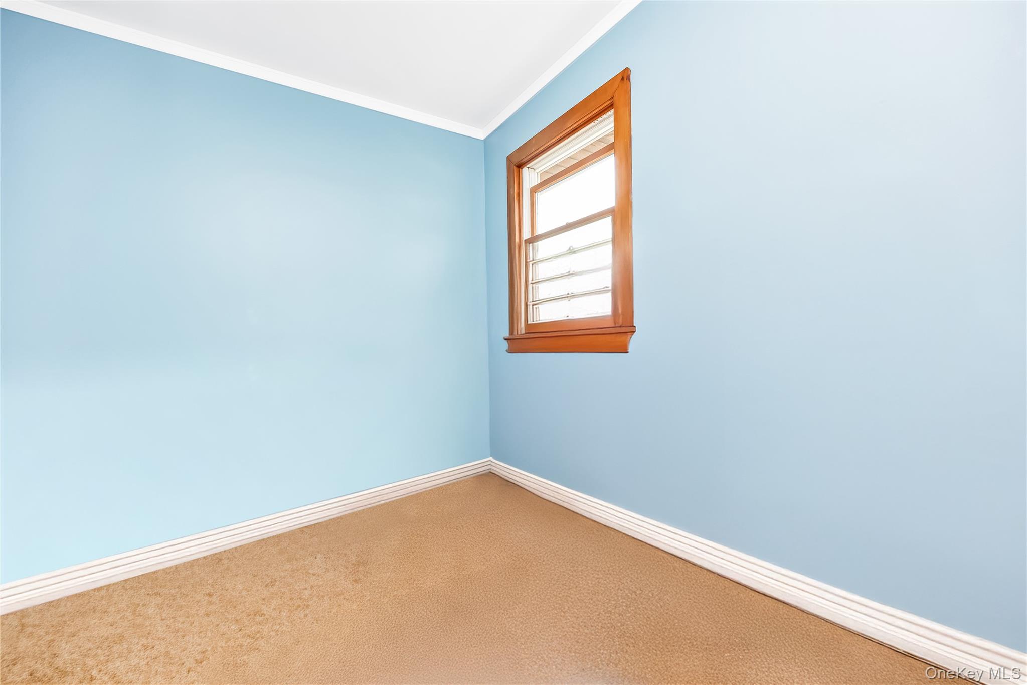 #9 photo, 769 S Hickory Street, 东长岛 Lindenhurst , NY 11757