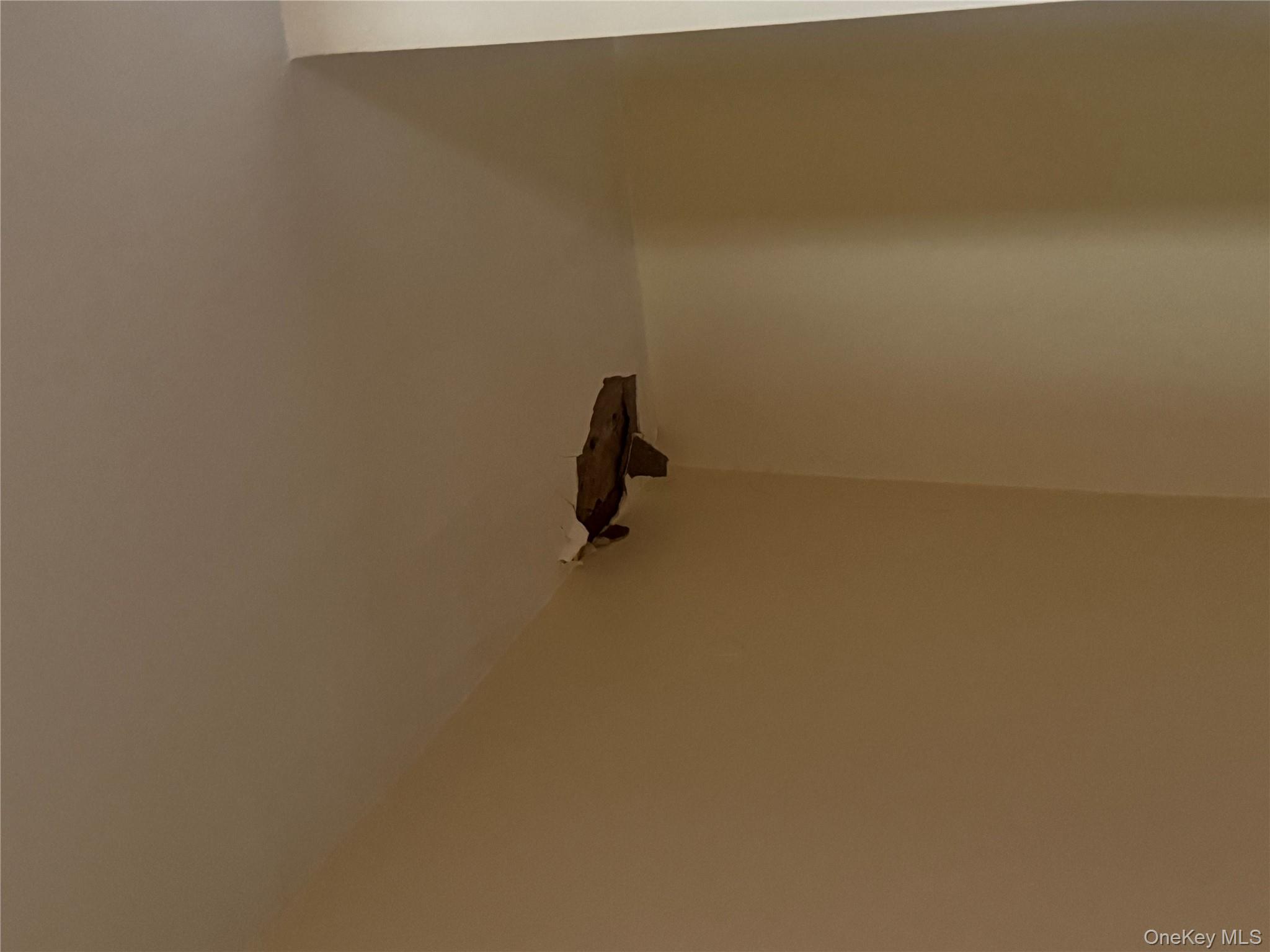 #18 photo, 1017 E 229 Street, Bronx,, Bronx , NY 10466