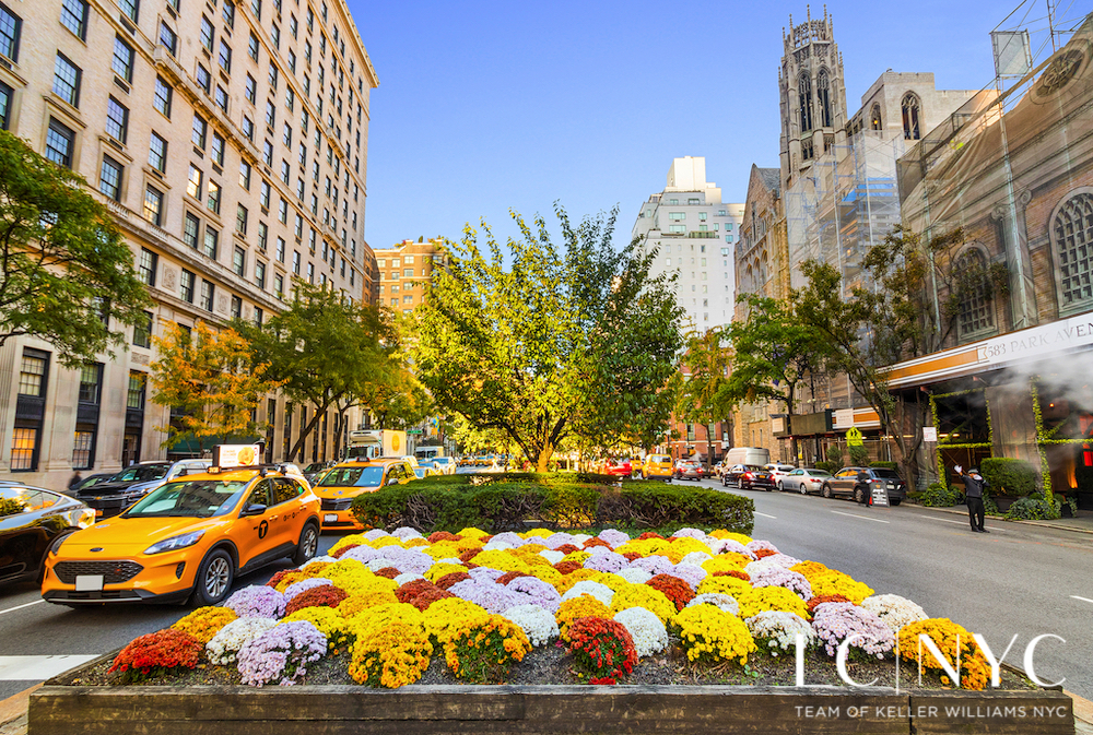 #16 photo, 575 Park Avenue, Lenox Hill , NY 10065