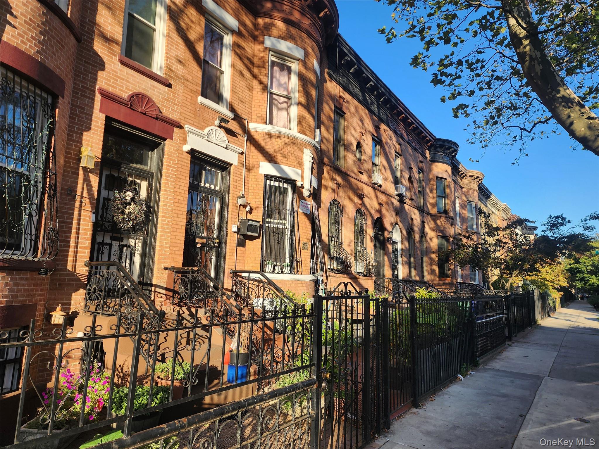#12 photo, 647 Saint Johns Place, ブルックリン区 Brooklyn , NY 11216